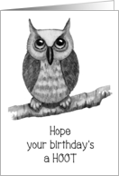 Happy Birthday for CHILD, Hope It’s A Hoot, Drawing of Big-Eyed Owl card