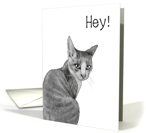 Coronavirus, Checking In and Missing You, Cat Saying Hey!... (1614660)