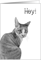Coronavirus, Checking In and Missing You, Cat Saying Hey! Pencil Art card