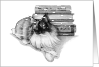 Belated Happy Birthday Humor, Maine Coon Cat With Books, Pencil Art card