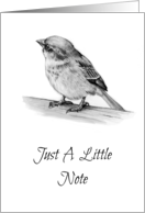 Just A Note, Hello, Blank Inside, Little Bird Pencil Wildlife Art card