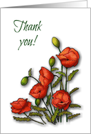 Thank You, General Thanks, Bright Red Poppies on White Background card