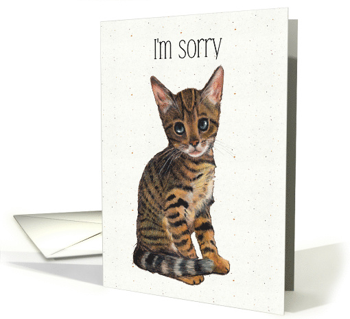 I'm Sorry, General Apology with Cute Kitten Art, Please... (1621276)