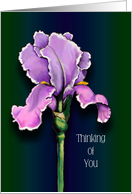 Coronavirus, Thinking of You, Social Isolation, Purple Iris Flower Art card