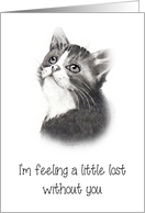 Coronavirus, Feeling A Little Lost Without You, Missing You, Cute Cat card