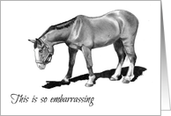 A Belated Thank You: Embarrassing, Horse With Drooping Head, Humor card