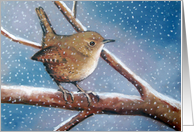 All Occasion, Wren in Winter, Bird with Snowflakes, Wildlife Painting card
