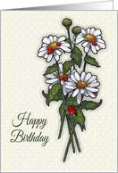 Happy Birthday, General, Daisies and Ladybugs, Tiny Dots, Floral Art card