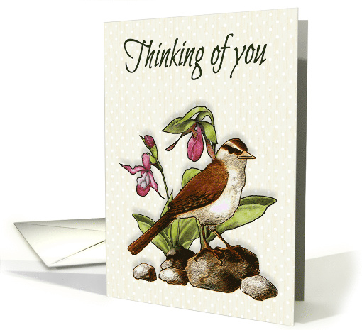Thinking of You, General, Bird With Flowers,... (1626088)