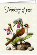 Thinking of You, General, Bird With Flowers, Ladyslippers, Tiny Dots card