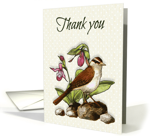 Thank you, General Thanks, Bird With Flowers,... (1626090)