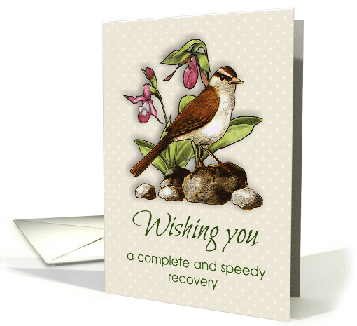 Get Well, Speedy Recovery Bird on Rocks, Ladyslipper Flowers card