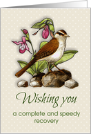 Get Well, Speedy Recovery Bird on Rocks, Ladyslipper Flowers card