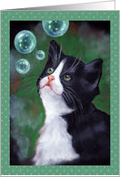 All Occasion, Blank, Tuxedo Cat Looking At Bubbles Painting card