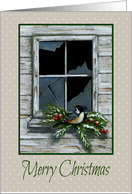 Merry Christmas, Rustic Broken Window, Bird on Pine Religious Message card