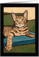 All Occasion, Bengal Cat Kitten Painting, Blank Inside card
