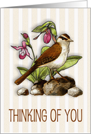 Thinking of You, General, Sparrow with Ladyslipper Flowers card