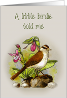 Happy Birthday, General, Little Birdie Told Me, Ladyslipper Flowers card