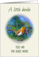 Cancer in Remission, Little Birdie Told Me, English Robin in Garden card