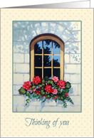 Thinking of You Religious in Times of Trouble, Window Flower Box card