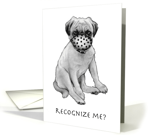 Coronavirus with Dog Wearing Mask, Encouragement Humor card (1631972)
