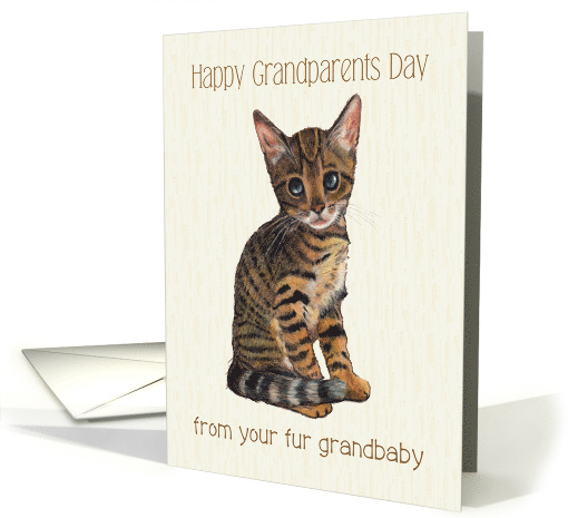 Happy Grandparents Day From Fur Grandbaby Kitten, Cat... (1634870)