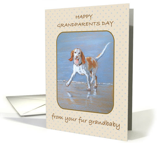 Happy Grandparents Day From Fur Grandbaby Dog, Happy Doggie card