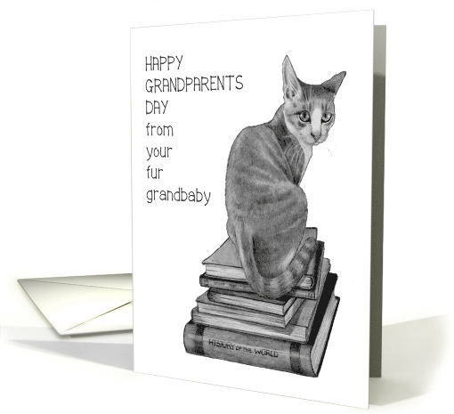 Happy Grandparents Day From Fur Grandbaby Cat, Illlustration card