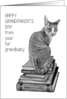 Happy Grandparents Day From Fur Grandbaby Cat, Illlustration card