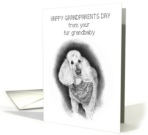 Happy Grandparents Day From Fur Grandbaby Dog Poodle Bandanna card