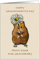 Happy Grandparents Day From Fur Grandbaby Hamster With Daisy card