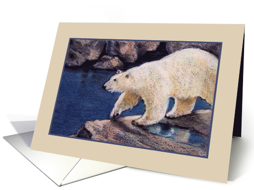 Any Occasion Blank Inside, Polar Bear Color Pencil... (1635418)
