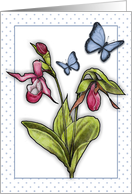 Any Occasion Blank Inside With Pink Ladyslipper And Blue Butterflies card