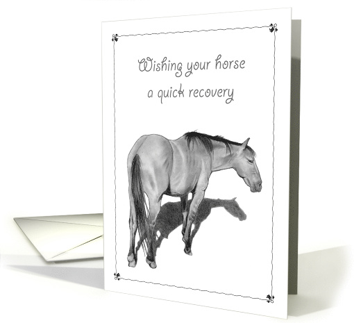 Get Well To Your Horse, Pencil Drawing of Horse Standing card