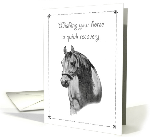 Get Well To Your Horse, Pencil Drawing of Horse in Sunlight card