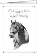 Get Well To Your Horse, Pencil Drawing of Horse in Sunlight card