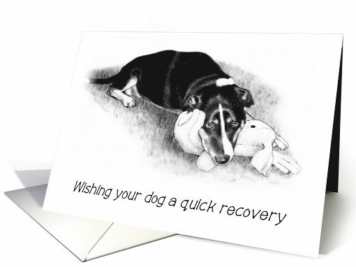 Get Well To Your Dog, Pencil Drawing of Dog With Stuffed Toy card