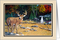 Any Occasion Blank Inside Deer in The Wilderness Autumn Colors card