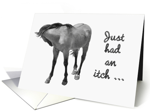 Coronavirus Encouragement Itch To Get In Touch Horse Nipping card