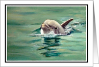 Dolphin Swimming Blank Inside All Occasion Marine Life Fish Ocean card