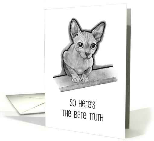 Here's The Bare Truth I Think You're Awesome Hairless Cat... (1656290)