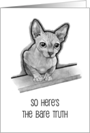 Here’s The Bare Truth I Think You’re Awesome Hairless Cat in Pencil card