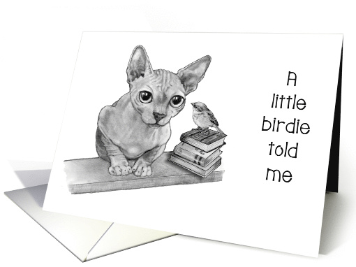 Happy Birthday General Birdie Told Me Hairless Cat and Small Bird card