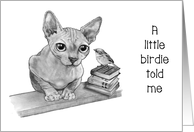 Happy Birthday General Birdie Told Me Hairless Cat and Small Bird card