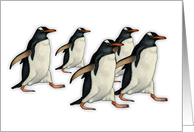 Any Occasion Blank Inside Group of Cute Penguins Walking Together card