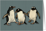 Any Occasion Blank Inside Three Happy Dancing Penguins Illustration card