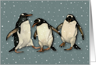 Any Occasion Blank Inside Three Happy Dancing Penguins in Snow card