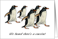 COVID Thinking of You Penguins Running To Get Vaccine Illustration card