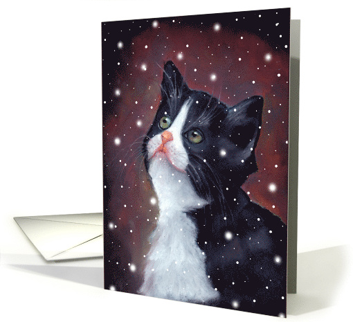 Any Occasion Blank Inside Black and White Kitten Looking At Snow card