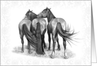 Any Occasion Blank Inside with Drawing of Three Horses card